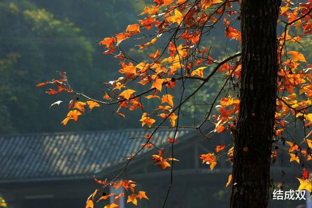 福建省|在福建有罕见姓氏，中国仅有17人，百年以来从来不曾搬出县城