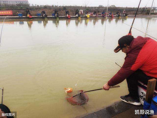 ▲根据水面大小选长短竿?不需要,有时打破常规反而是提升渔获关键