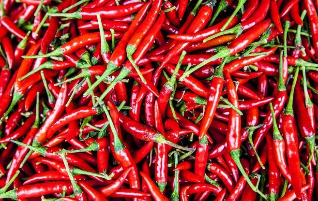 民生播报|广东发布：一批辣椒被检出镉超标3倍多，黑鱼问题更严重！