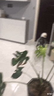 |“你觉得一个男生最掉价的行为是什么?”哈哈哈评论有意思了...