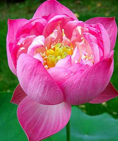 「大富大贵」7月开始，4属相横财大奖飞进门，大富大贵不差钱，事业一顺百顺