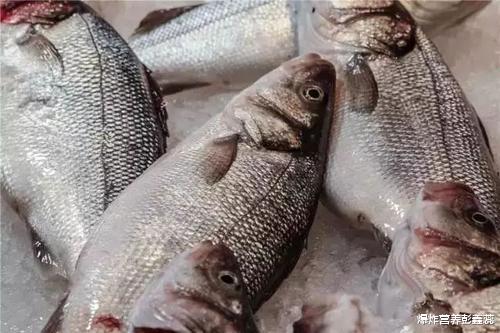 长寿|都说吃鱼的人能长寿,但专家提醒:6种鱼再便宜再好吃,也不能买