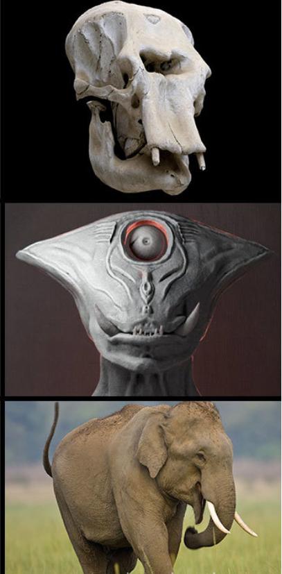 电影|动物的头盖骨是如何欺骗人类的，看完颠覆你的认知观