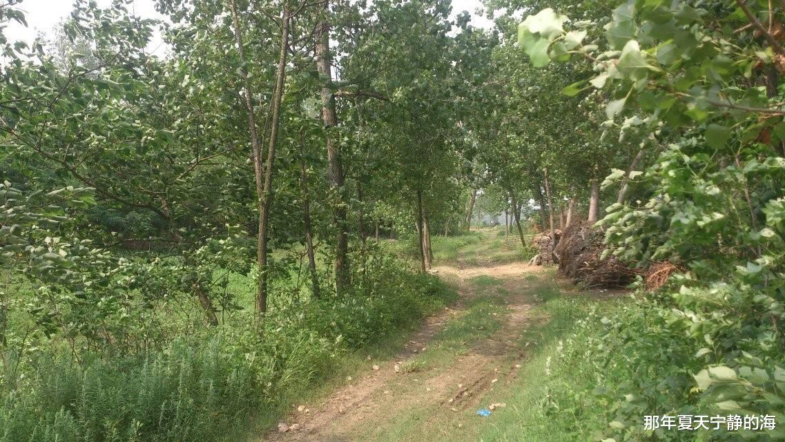 ▲我姥爷的真实经历，到现在一直没有合理的解释，等待科学的到来