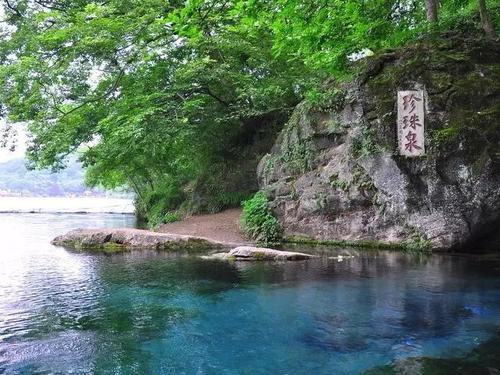 延庆|建在水上的延庆珍珠农家渔村度假村赏景垂钓两不误，这的鱼太大了