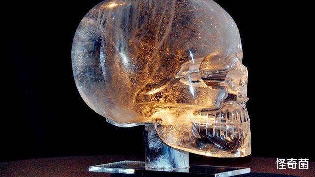 科学家|科学史上四大谎言，全部是假的，却还有人深信不疑