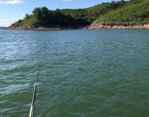 鲫鱼|重铅找底真的对吗？试试用这几个方法测试你是否会调漂