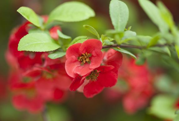 天蝎男|进入8月份，4属相运势蒸蒸日上，家中喜讯不断，生活更美好