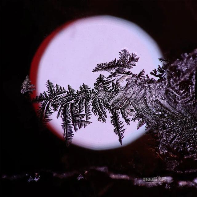 哈尔滨新闻网 道路结冰黄色预警发布|本世纪同期第2冷!入冬以来全省气候冷干,1月上旬尤其冷