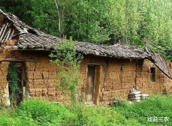 宅基地|8月起,农村启动新一轮清查!严惩3种行为!农民早了解,别吃亏!