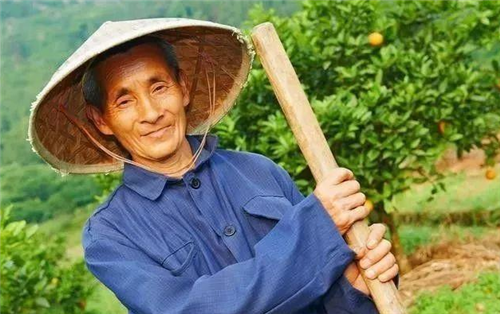 蜀山笔侠 孙子在历史课本上看到一个名字,感觉很像爷爷,回家一问竟是真的