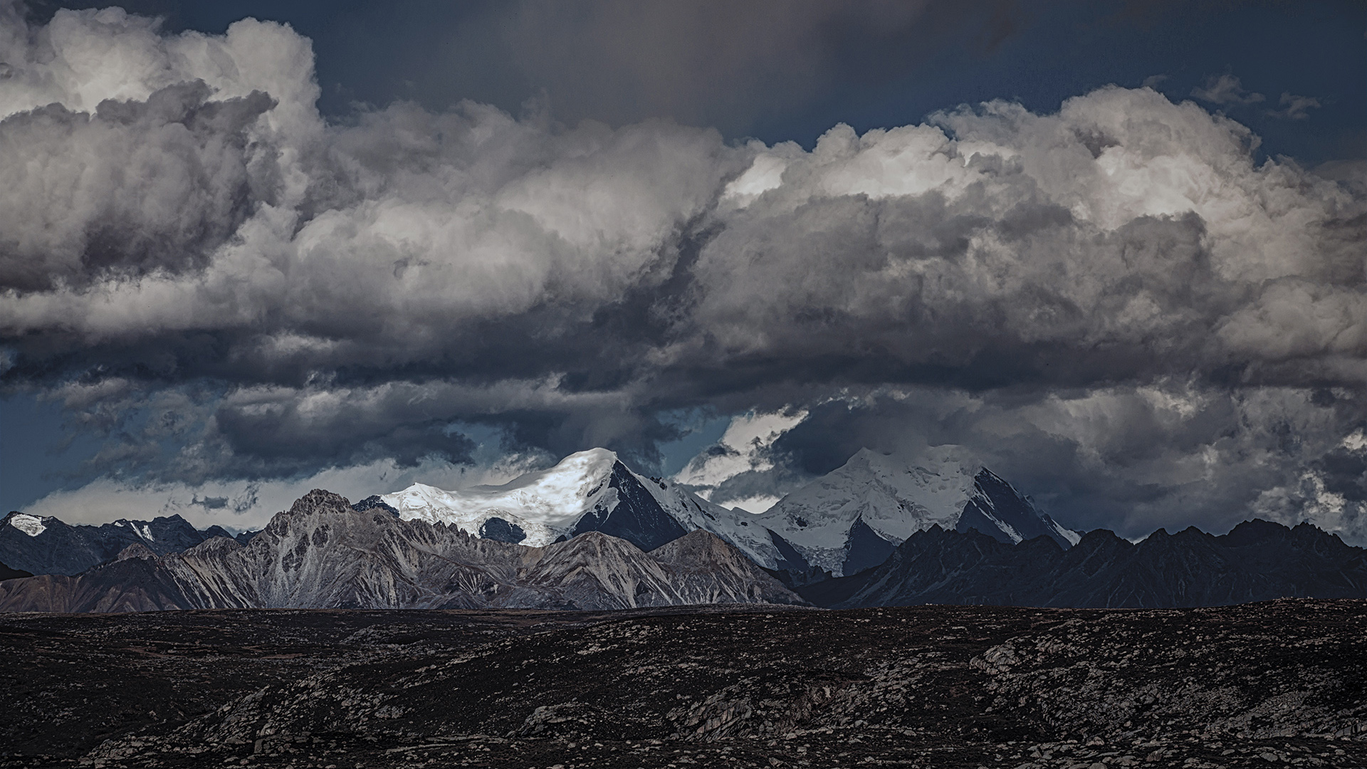 生肖|7天后，认真负责，恋爱稳定，一心一意，专注感情，值得去珍惜