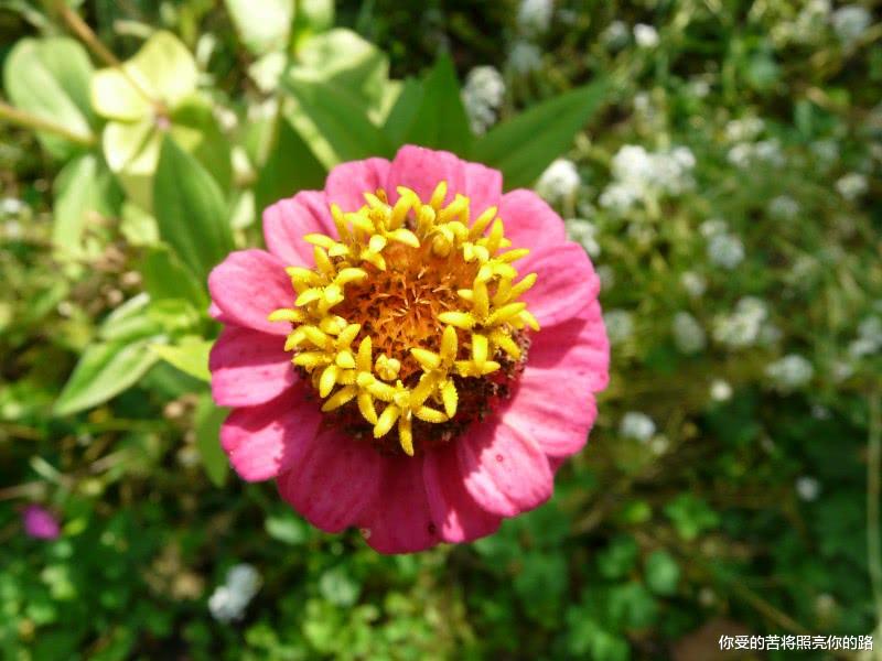 『运势』未来两个月将有旺盛的横财运，四属相得天降横财，中奖率不断高涨