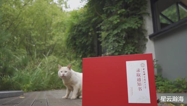 中国科学技术大学|乘风破浪的华东五校录取通知书,我选中科大你站谁?