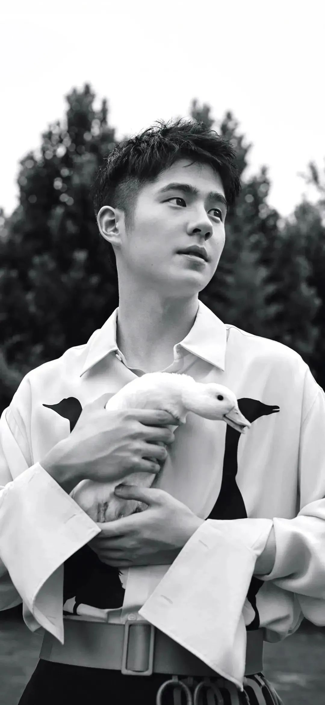 记摄人间|高清手机壁纸美图，我也想要，秋天的第一杯奶茶