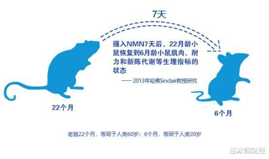 『人体试验』换血人体试验结果曝光！美抗衰公司：100名参与者确实年轻了