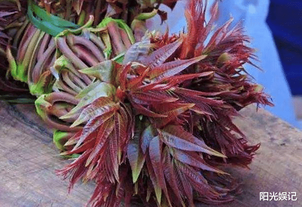 [香椿]这4种自带“毒素”的蔬菜，炒前别忘了焯水，为了健康要勤快