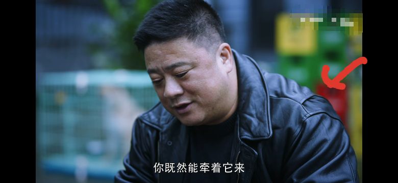 重生▲《重生》赵今麦海报暴露秦驰身份，真是仗义多屠狗之辈