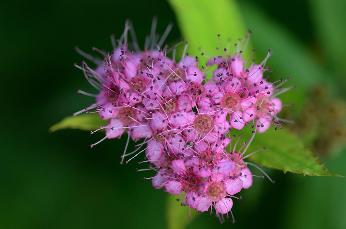 十二星座@三月下旬去，运势不一般，桃花运旺的几大星座，财运旺到明年