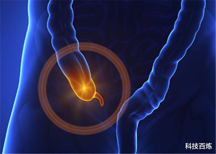 【】专家：人类进化并不完全，身体还有6个“漏洞”，你知道几个？