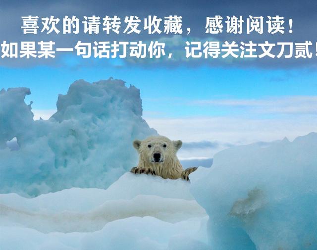 倪震|倪震的三观,让周慧敏从23岁熬到42岁,最后还赌上一切