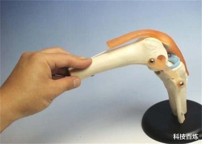 『科学家』曾经消失的器官现在又重新出现，人类是退化还是进化？