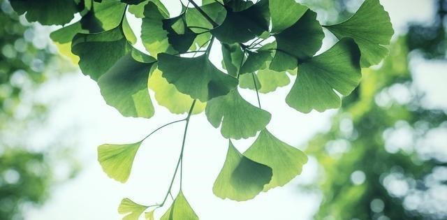 【面条】立夏的三吃四不准,都有什么讲究?