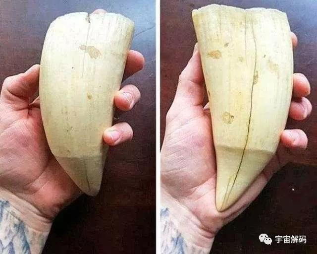 |一组不可思议的照片,证明你对这个世界一无所知