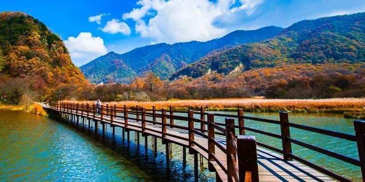 神农架|秋光乍泄 美景成诗 秋日的神农架 一定会惊艳到你