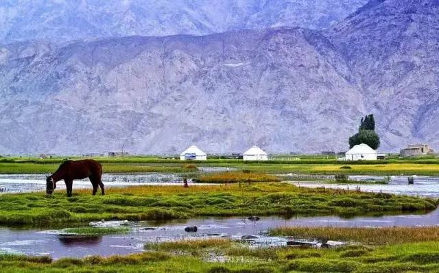 威尼斯|南疆、南疆，你要的南疆！