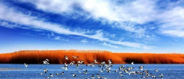 居延海@我国很无奈的“海”，先后干涸数次，如今水面面积达66平方公里