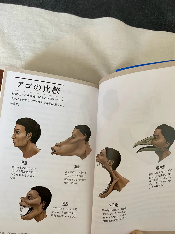 |“假如动物的结构放在人体上!这也太可怕了.....”