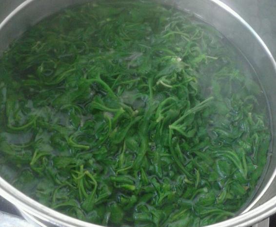 [草酸]阳春三月这个菜别错过，含钙量很高，简单拌一拌，味道鲜美比肉香