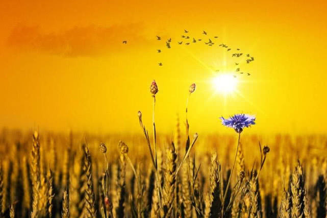 『霉运』倒霉运已过!下周起,3生肖财神爷坐镇,人生更顺利,翻开新篇章!