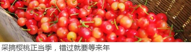 「重庆」在最美的季节,打卡主城隐秘的净土