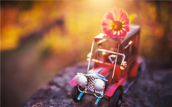 刷单|现在什么挣钱快？你能看懂多少，就能挣多少钱！