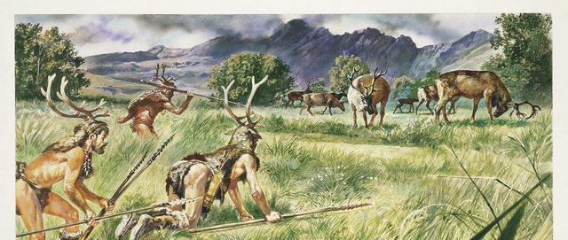 哺乳动物|上世纪七八十年代，人身上的虱子咋来的？为何现在基本看不到了？