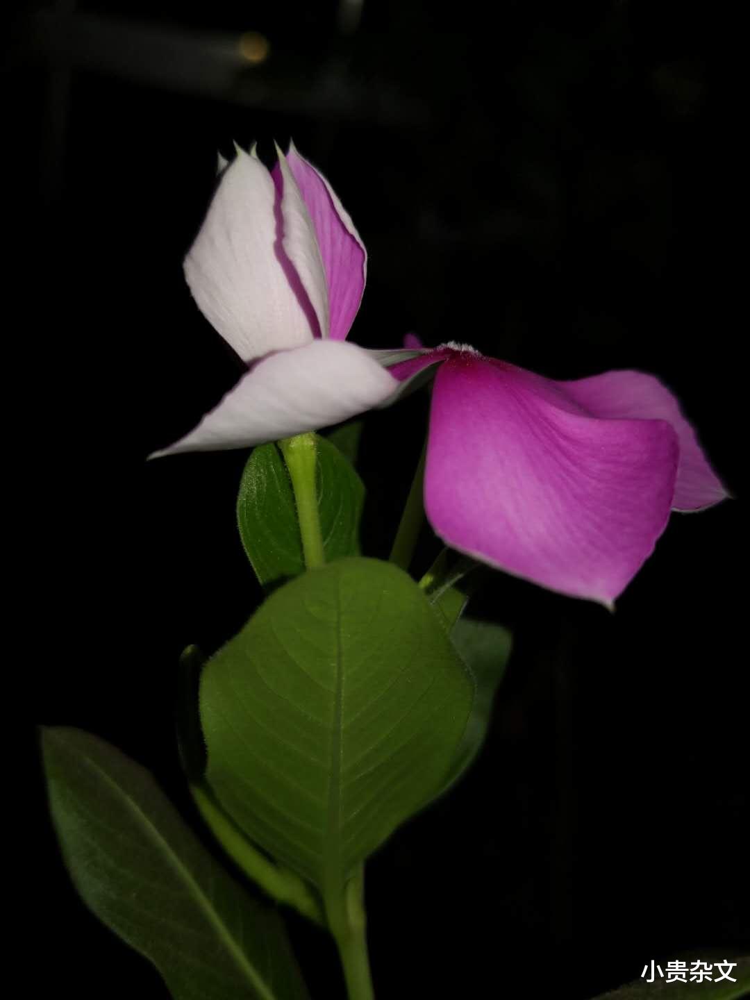 |7月29日股评，成交再次破万亿，明天继续看好