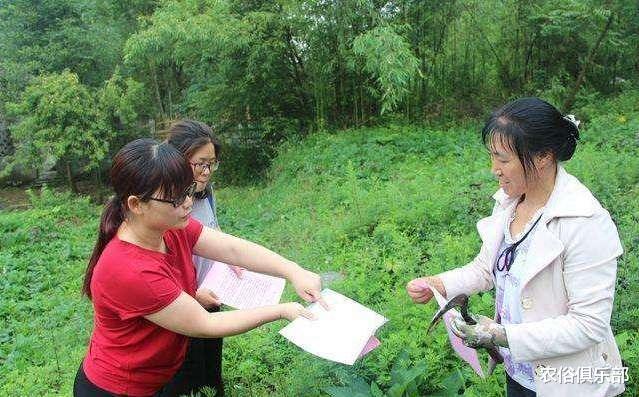 农俗俱乐部|农村宅基地确权最后一年,三拆一改将实施,改革试点从4方面进行
