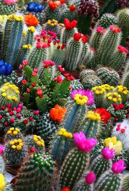 天蝎座▲天蝎座的人说了分手还有复合的可能吗