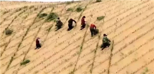 『舟山群岛』中国首个将消失的沙漠：面积比舟山群岛还大，如今80％沙漠成绿洲