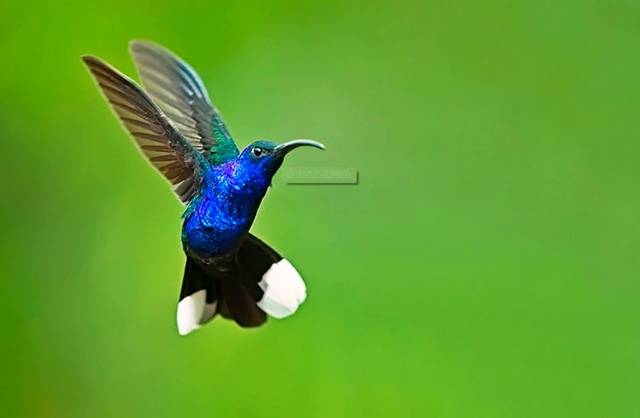 『运势』实不相瞒：10天内3大属相财运上上签，工作得心应手，富贵荣华