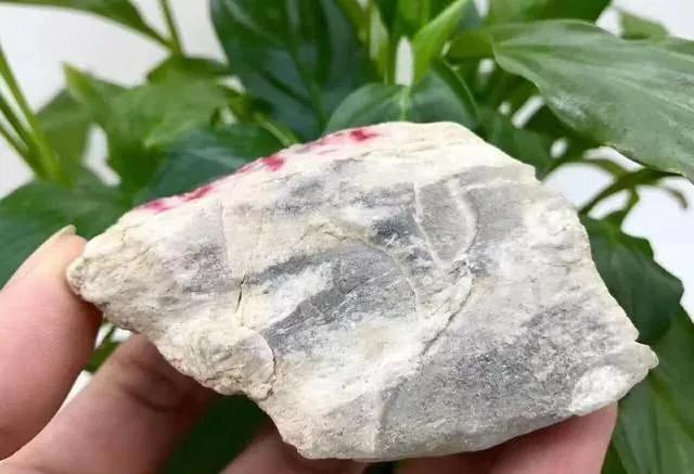 「翡翠」夜市捡漏一块木那翡翠原石毛料，当场开切，瞬间进账百万