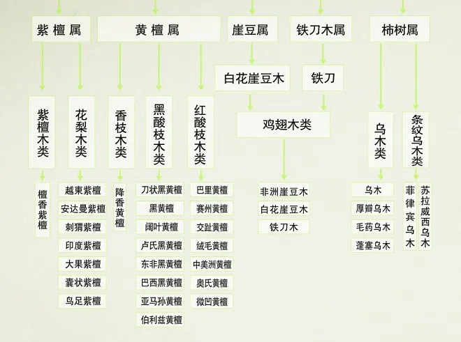 「红木」红木——五属八类33种