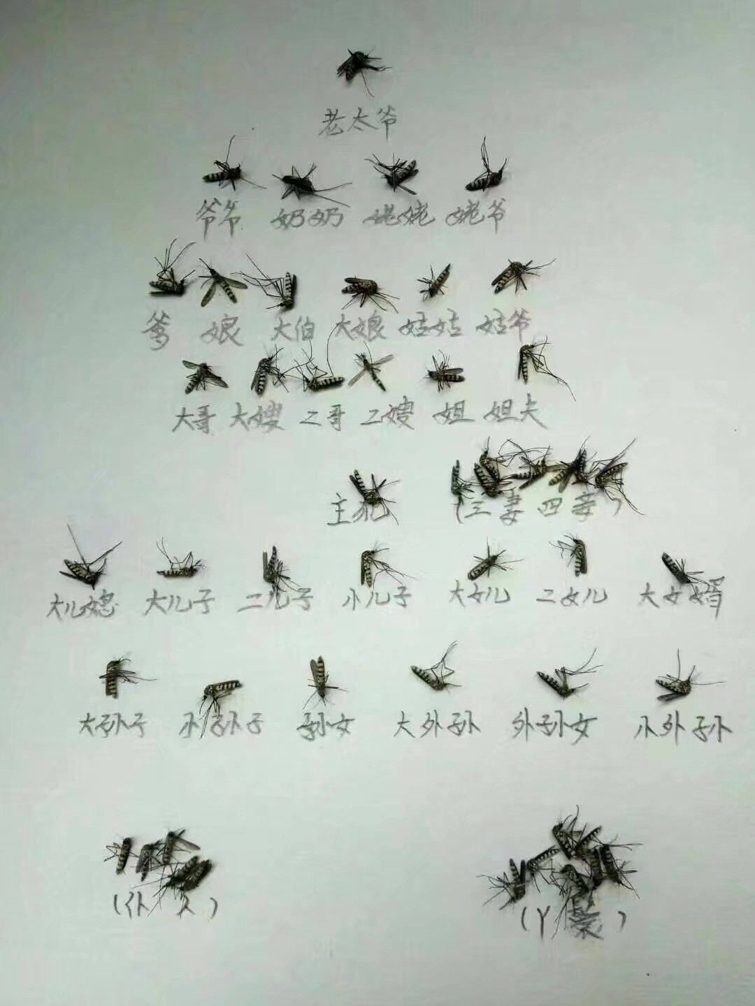 |什么美女不美女,主要是喜欢钓鱼