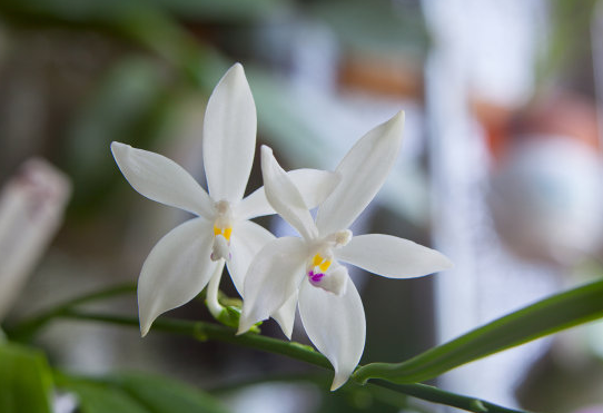 「天蝎座」进到6月，4生肖喜上眉梢，喜事连连，感情工作名利双收，翻过越颇具