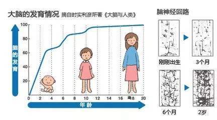 远古时代|人类婴儿那么弱小，在远古时代是怎么在自然界中生存下来的？