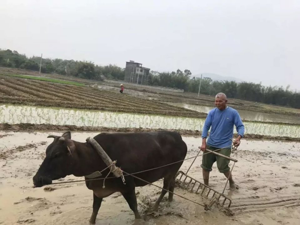 [社保]农民没交社保，想要领400的养老金合理吗？从5点2面来看
