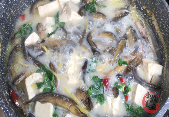 豆腐：“泥鳅钻豆腐”到底是不是真的？实拍制作全过程，总算真相大白了