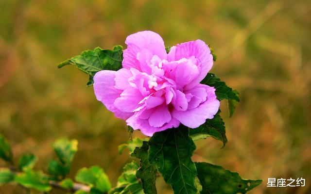 射手座：在6月份，目标明确，敢打敢拼，扬眉吐气的三大星座